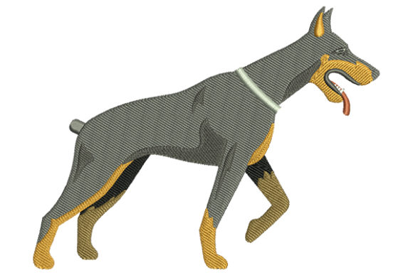 Doberman Dog